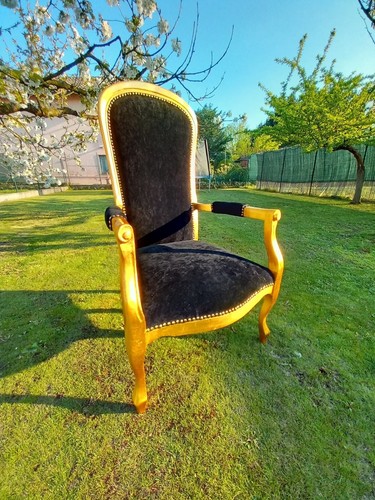Poltrona ristrutt con - , foglia