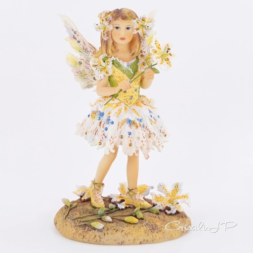 Collezione christine haworth - collezione,