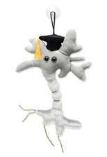 Neurone Peluche Laurea - Giant
