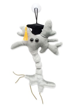 Neurone peluche laurea giant - laurea,