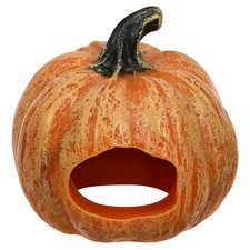  Accessori Per Acquario