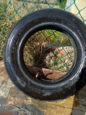 3 copertoni con camere d'aria VEE RUBBER 3.50-10 59J per Vespa come nuovi.