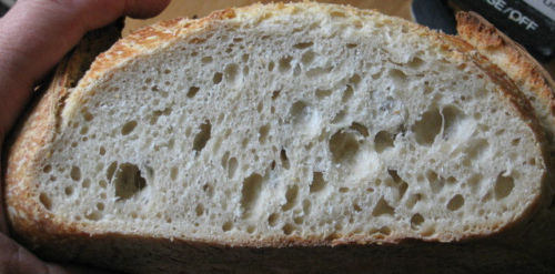 Miglior antipasto lievito - miglior,