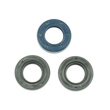 SERIE PARAOLIO MOTORE GARELLI