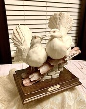 Bellissime colombe bianche