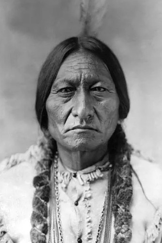1885 chief sitting bull - chief,