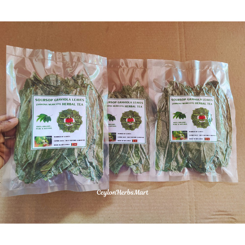 Foglie soursop essiccate - di,