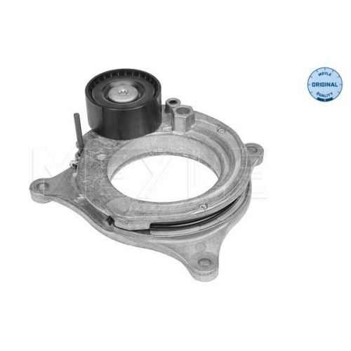 Tendicinghia cinghia poly - poly, v