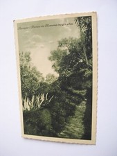 Genova - Lavagna antica via Romana tra gli ulivi - non spedita f. p.