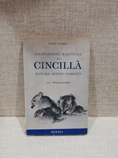 CINCILLà allevamento