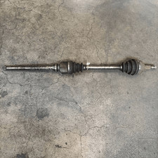 1440100788 Semialbero ant
