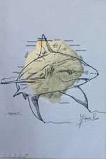 RUBENS FOGACCI - SERIE ATLAS -