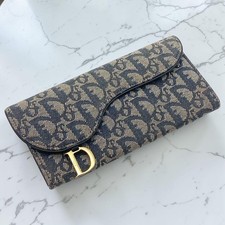 Christian Dior Trotter Saddle