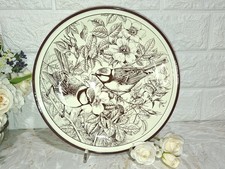 ANNI 80 TOGNANA PAVESI PIATTO  GLI AMICI DEL MATTINO WWF LA CINCIARELLA