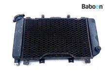 Radiator Yamaha TDM 850