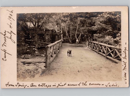 C1906 saw mill bridge - saw, fern