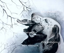 Dipinto di Setter e Beccaccia - Rita Matrella