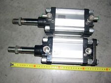 Pistoni pneumatici Pneumax