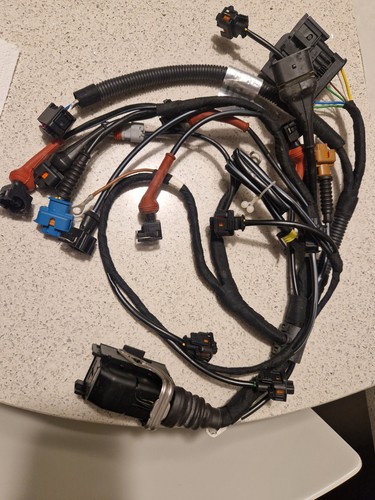 Cablaggio motore alfa - 156, 2.0