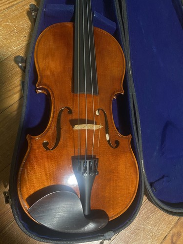 Violino roderich paesold - violino,