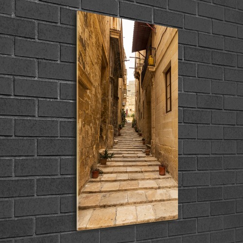 Tulup stampa vetro wall - tulup,