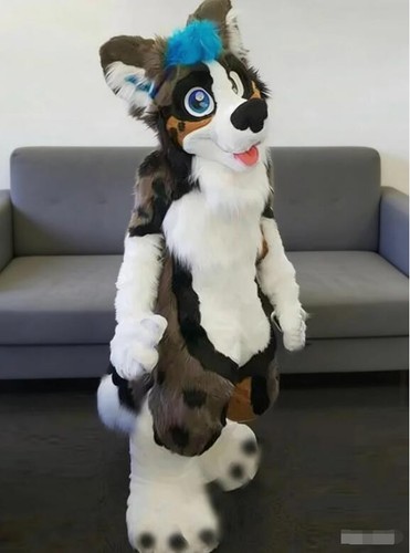 Costume lungo pelliccia - , husky