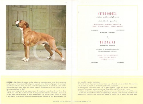 1956 milano laboratori - 1956,