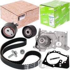 Originale Renault Cinghia di