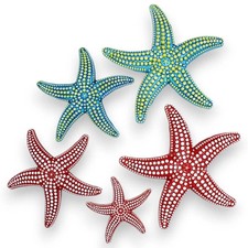 Stella Marina con rilievi, in