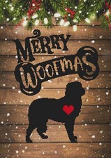 Cane da pastore maremmano