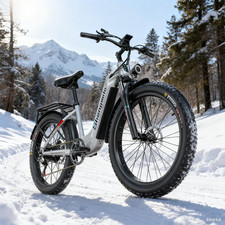 Mountain Bike 26 Pollici 1000W