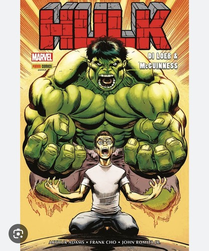 Hulk jeph loeb - hulk, e