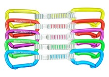 Kong Trapper Anniversary 5