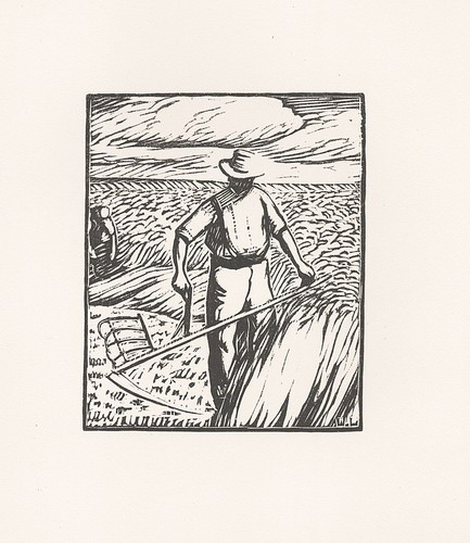 Wilhelm laage falciatrice - wilhelm,