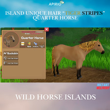 Wild Horse Islands 🐅IUH Tiger Stripes Buckskin Quarter Horse🐅