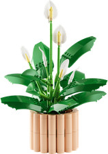 LEGO 11504 Botanicals