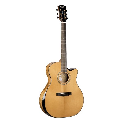 Chitarra elettrica acustica