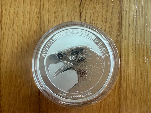 Wedge tailed eagle - oz,