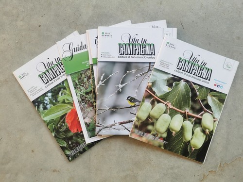 100 riviste vita - riviste, in