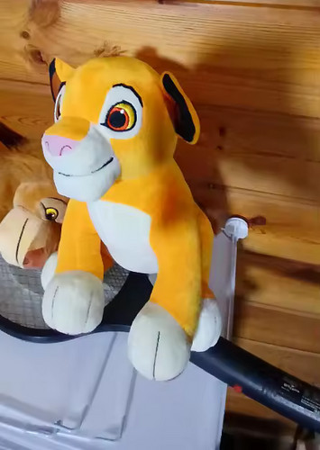 Peluche leone 30cm - re,