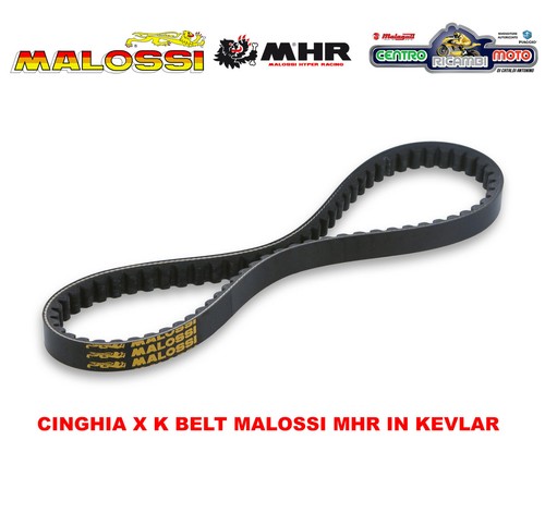 Cinghia trasmissione malossi - trasmissione,