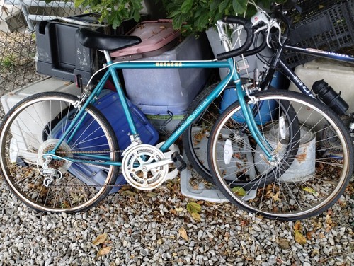 Raleigh horizon citysport - horizon,