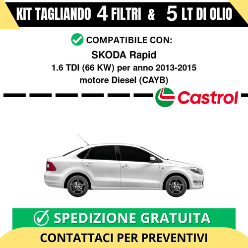 Tagliando per skoda - tagliando, rapid