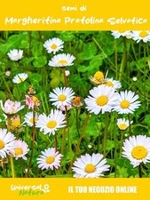 50 Semi di 🌼 Semi di