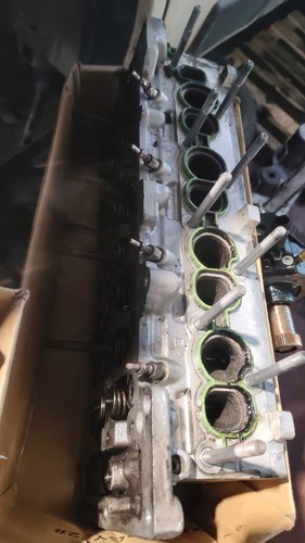 Testata alfa romeo stelvio - alfa,