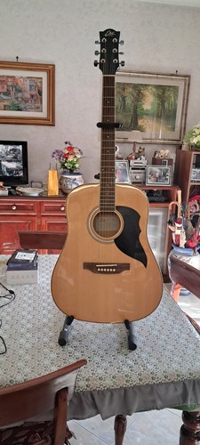 Eko ranger chitarra - ranger,