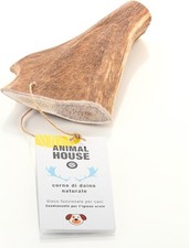 Animal House Corna di Daino