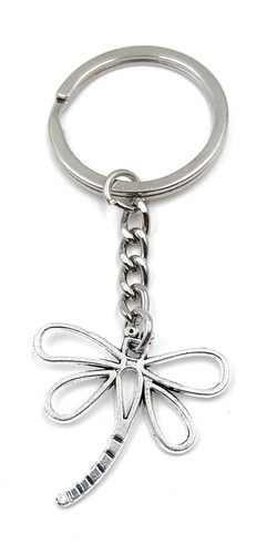 Libellula insetto argento - libellula,