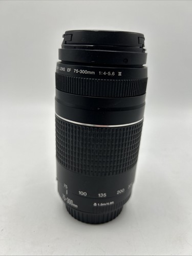Canon 300mm 5 - ef, f/4.5-5.6