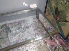 Large romeo rega - large,